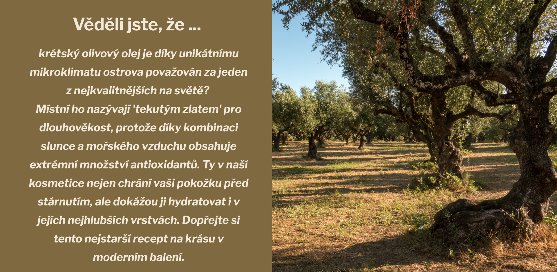 Věděli jste, že... krétský olivový olej je díky unikátnímu mikroklimatu ostrova považován za jeden z nejkvalitnějších na světě Místní ho nazývají tekutým zlatem pro dlouhověkost, protože díky ko